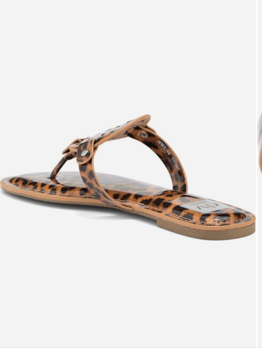 DV by Dolce VitaGotie Laser Cut Studded Thong Sandal Leopard Print NwT Sz 8 - Picture 2 of 8